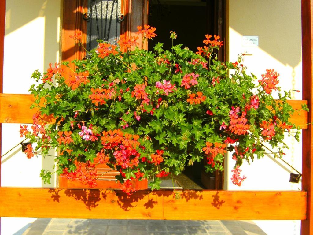 B&B Le Petit Normand Jalhay Luaran gambar